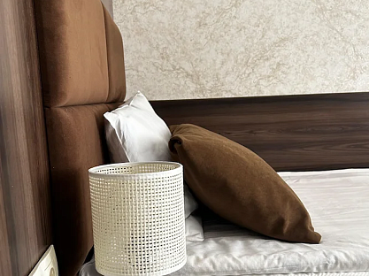 Санаторий «Лесной», г. Железноводск. Одноместный номер